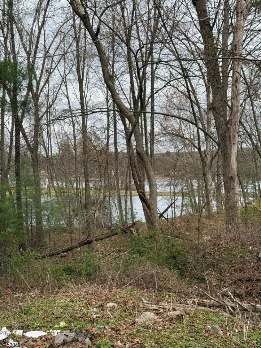 232 Lake Shore Montague, NJ 07827