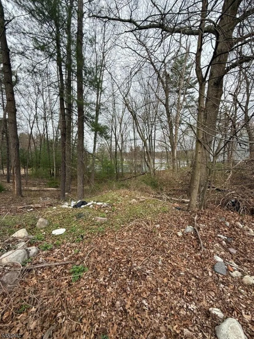 232 Lake Shore Montague, NJ 07827