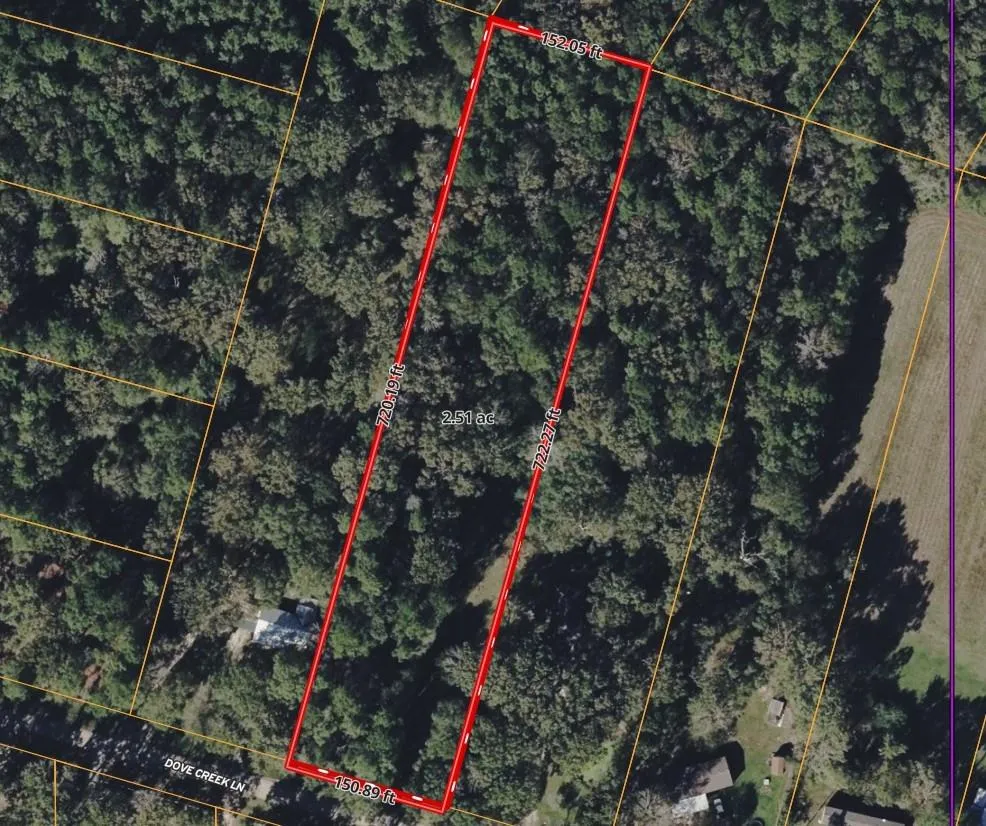 Dove Creek Drive Coldspring, TX 77331