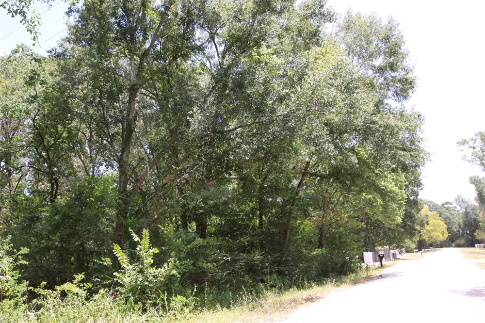 Dove Creek Drive Coldspring, TX 77331