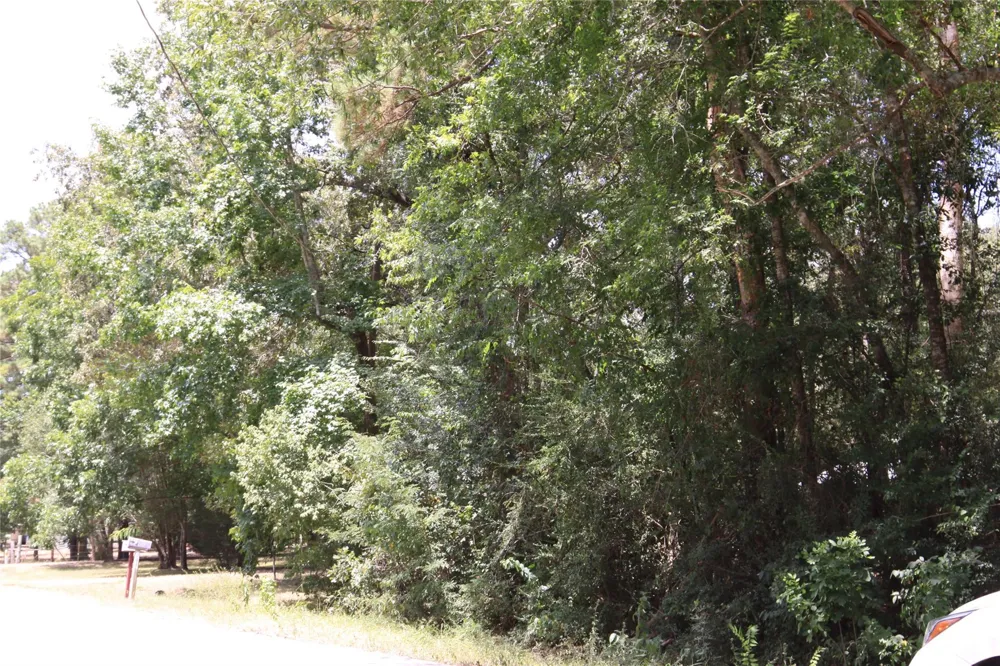Dove Creek Drive Coldspring, TX 77331