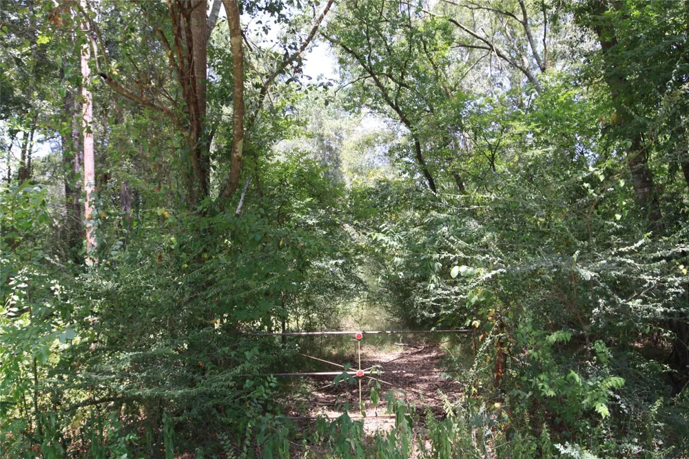 Dove Creek Drive Coldspring, TX 77331