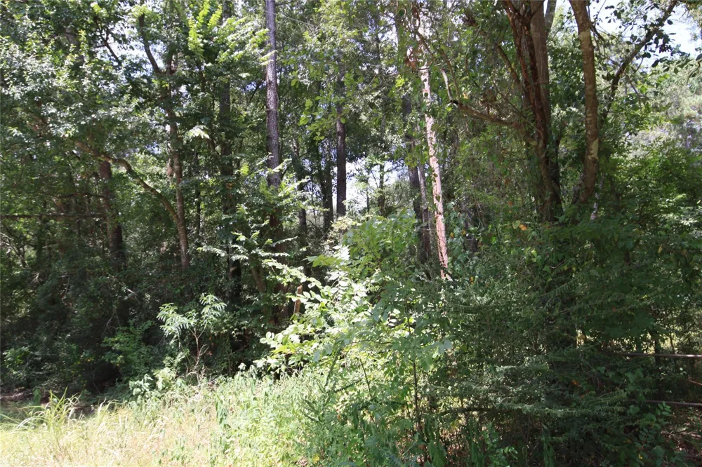 Dove Creek Drive Coldspring, TX 77331