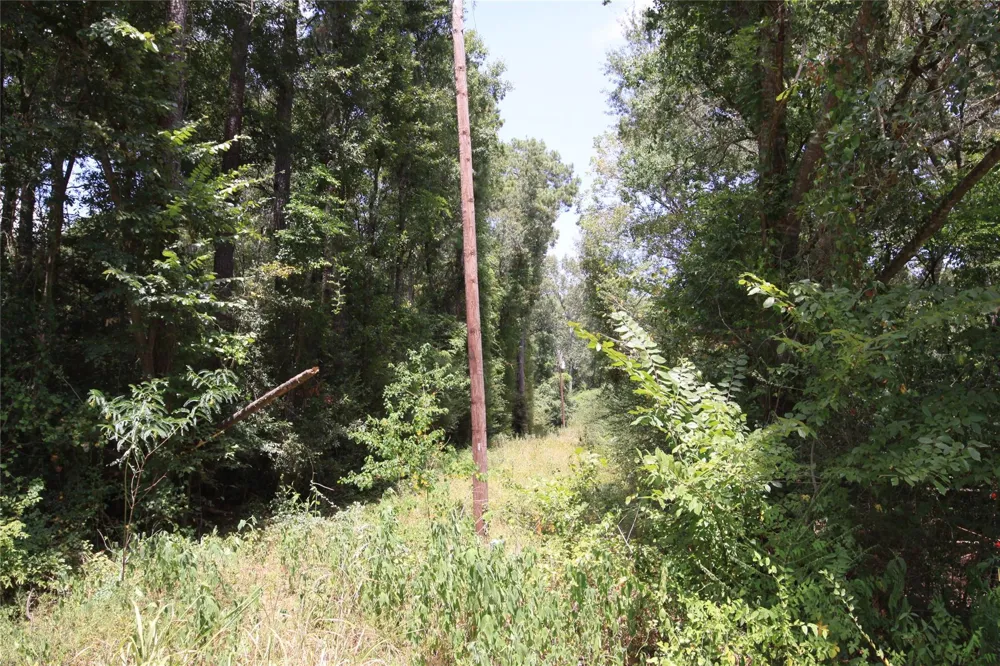 Dove Creek Drive Coldspring, TX 77331
