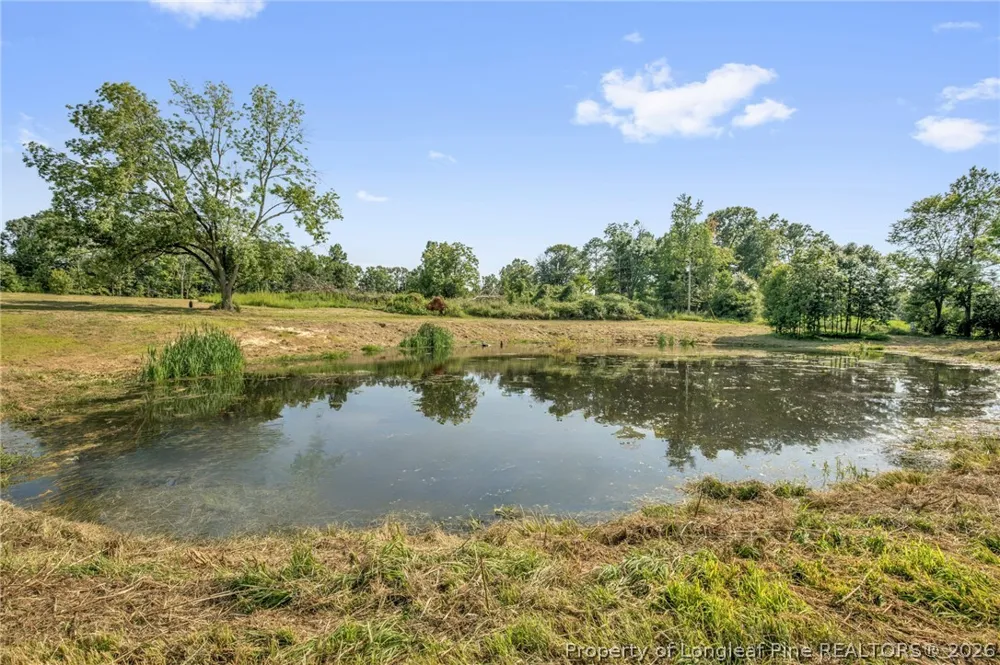 Laia Hills (Lot 1) Road Siler City, NC 27344