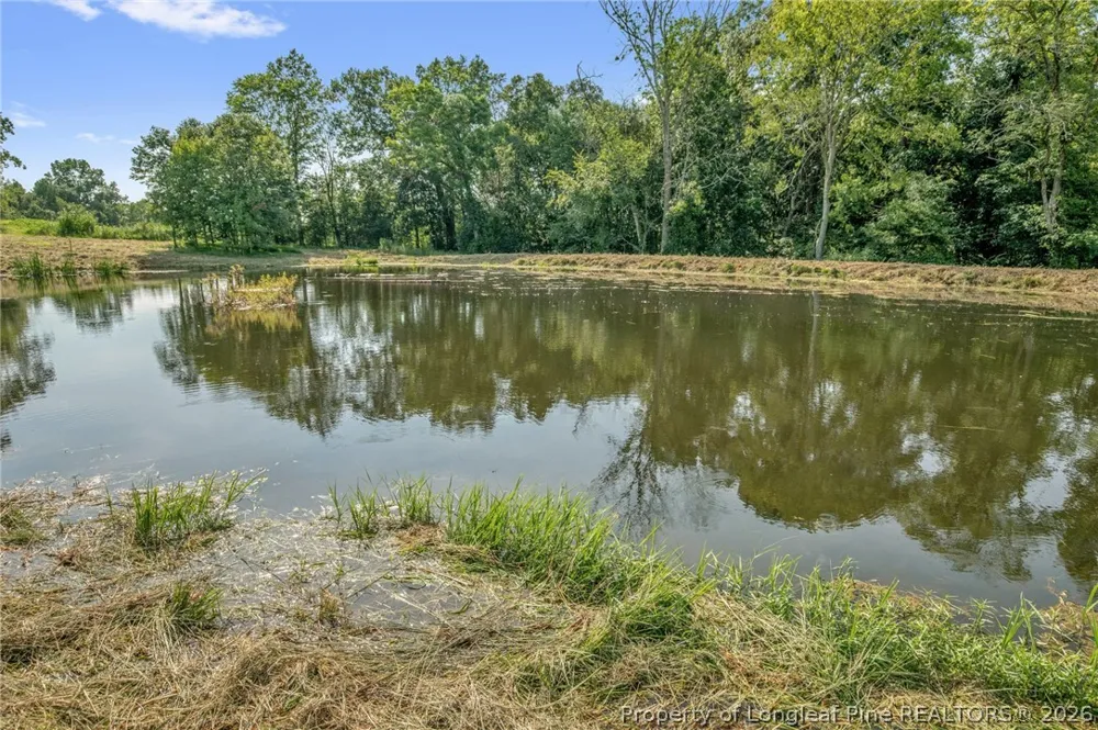 Laia Hills (Lot 1) Road Siler City, NC 27344