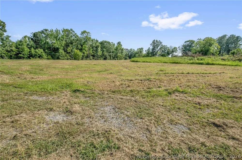 Laia Hills (Lot 1) Road Siler City, NC 27344