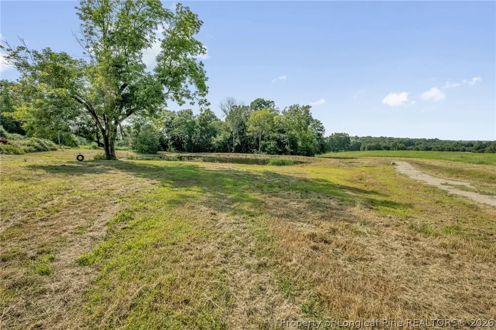 Laia Hills (Lot 1) Road Siler City, NC 27344