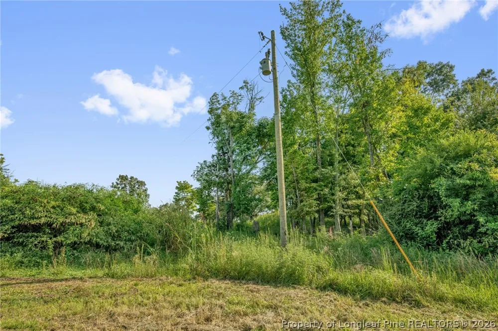 Laia Hills (Lot 1) Road Siler City, NC 27344