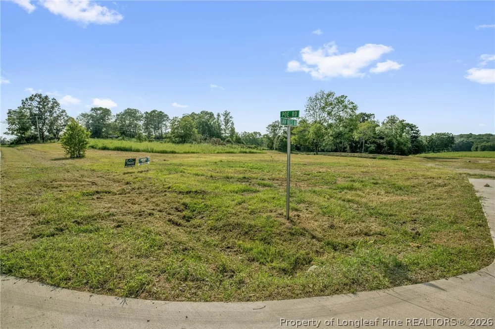 Laia Hills (Lot 1) Road Siler City, NC 27344