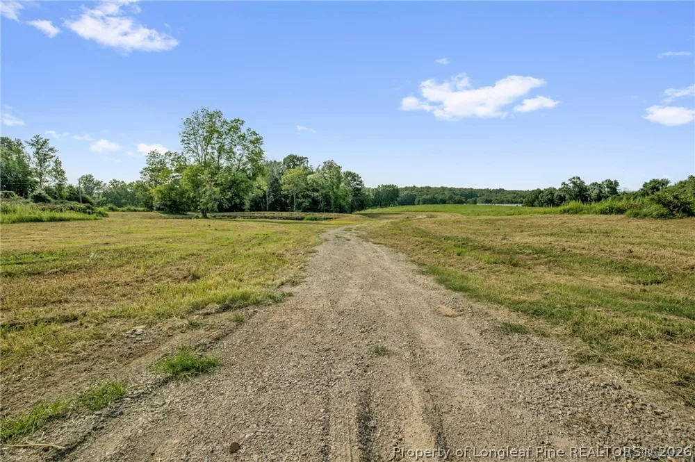 Laia Hills (Lot 1) Road Siler City, NC 27344