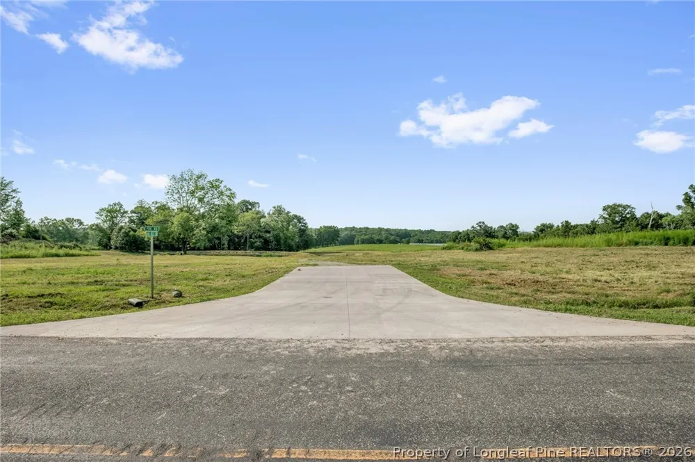 Laia Hills (Lot 1) Road Siler City, NC 27344