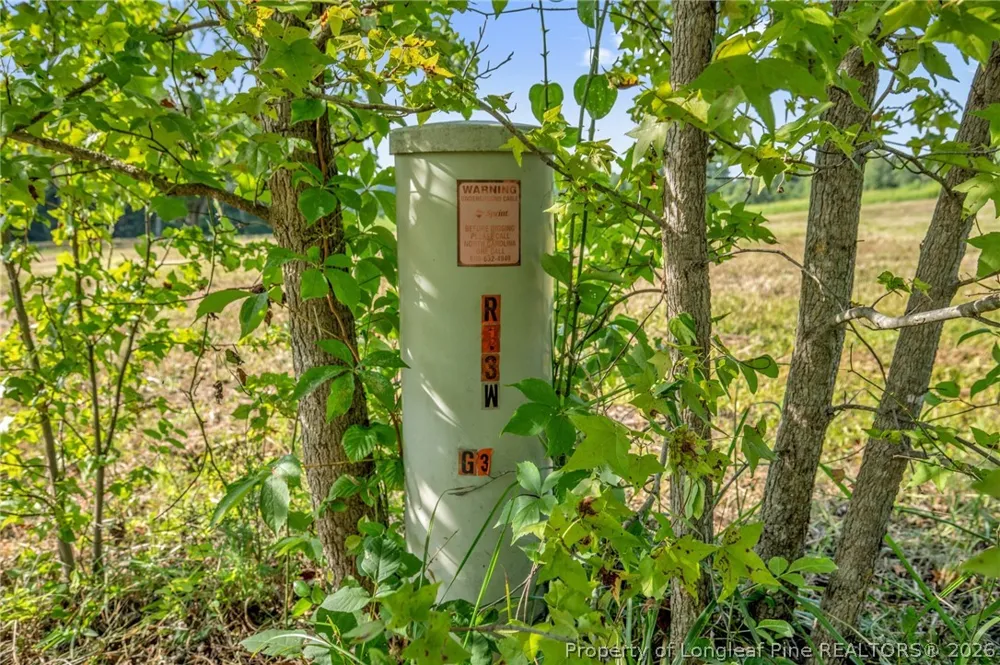 Laia Hills (Lot 1) Road Siler City, NC 27344
