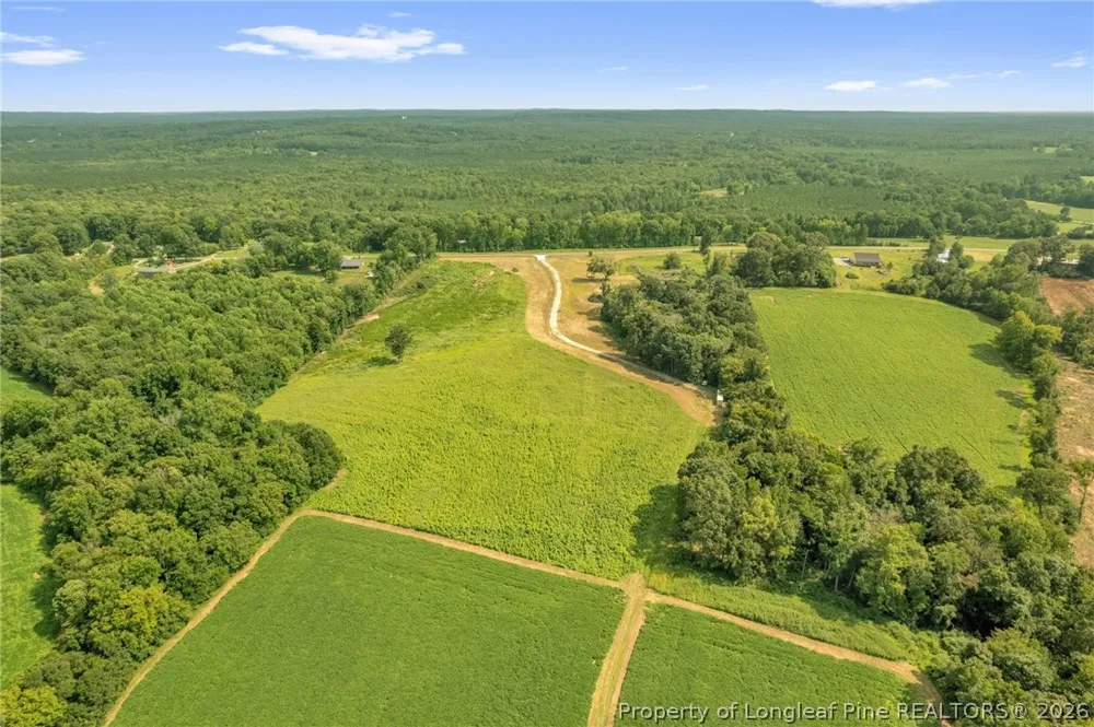 Laia Hills (Lot 1) Road Siler City, NC 27344