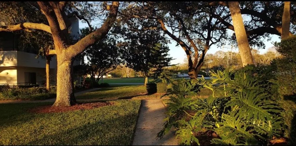 2583 COUNTRYSIDE BOULEVARD #3201 Clearwater, FL 33761