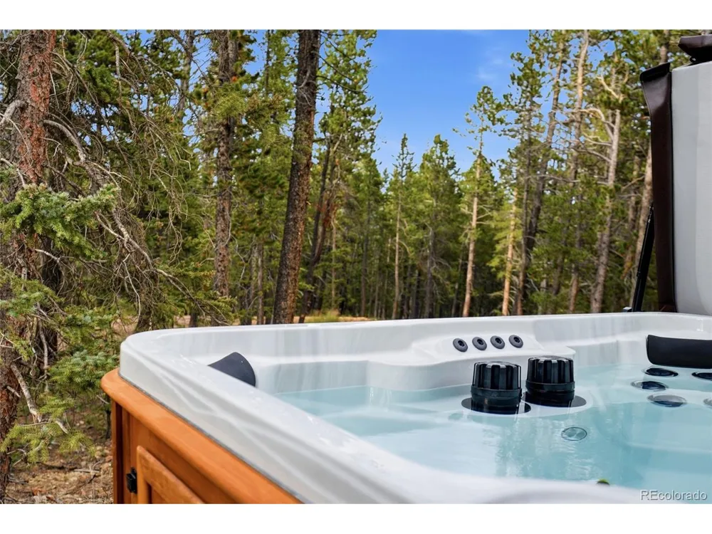 1662 Bobcat Lane Fairplay, CO 80440