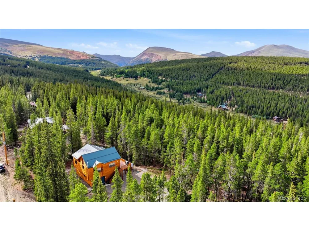 1662 Bobcat Lane Fairplay, CO 80440