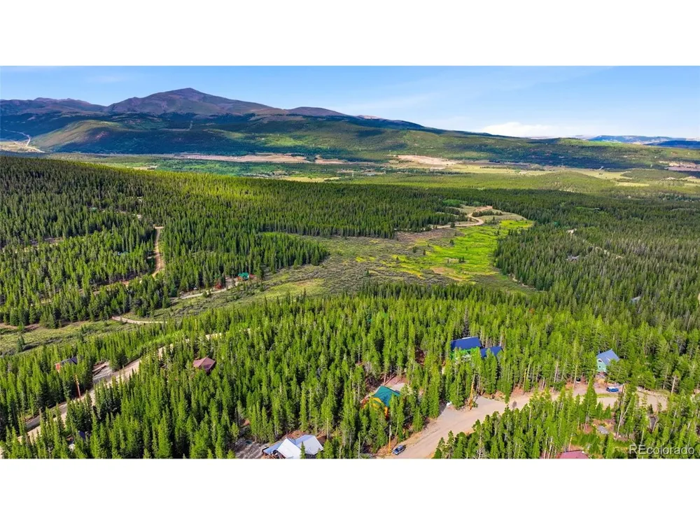 1662 Bobcat Lane Fairplay, CO 80440