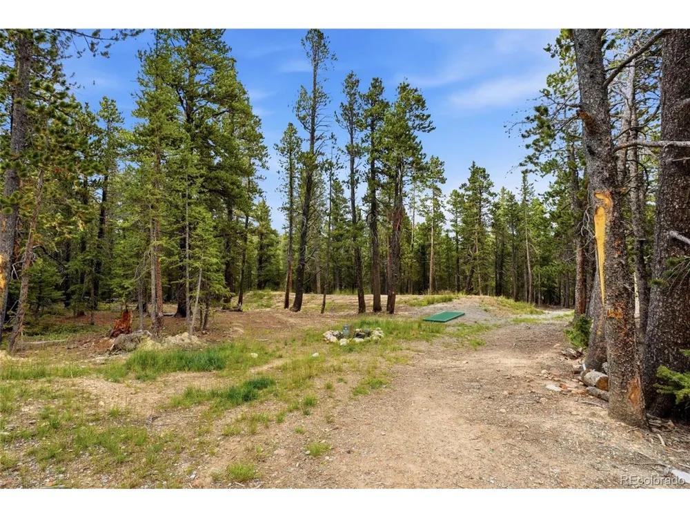 1662 Bobcat Lane Fairplay, CO 80440