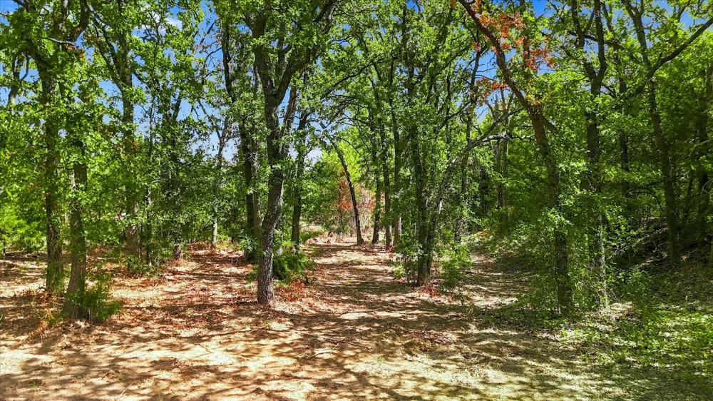 1347 Johnson Road Keller, TX 76248