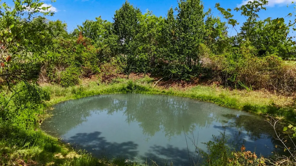 1347 Johnson Road Keller, TX 76248