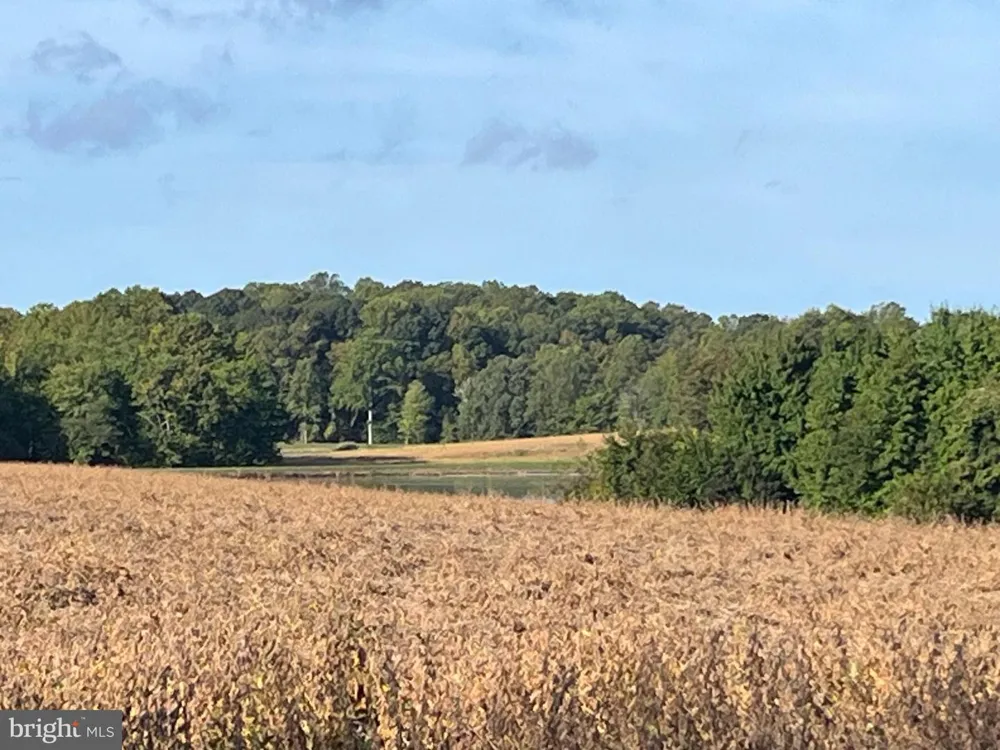 11037 BOTTOM ROAD Worton, MD 21678