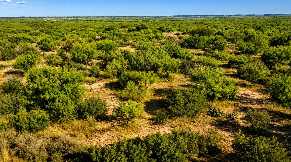 FM 1028 Rochelle, TX 76872