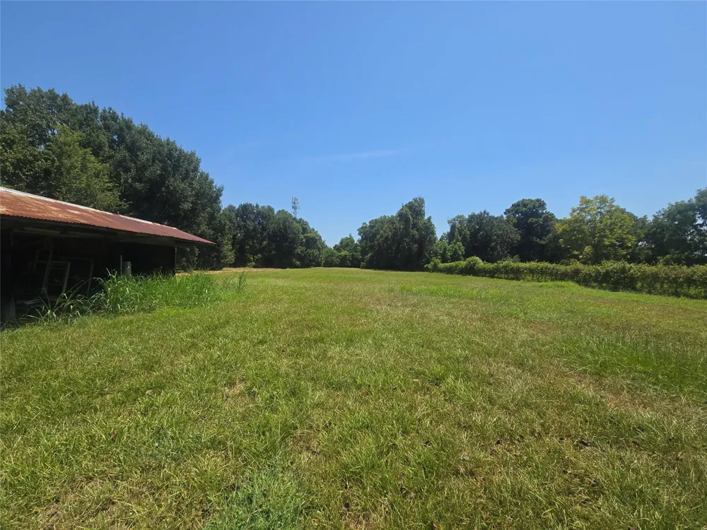 817 Masonic Oak Drive Brazoria, TX 77422