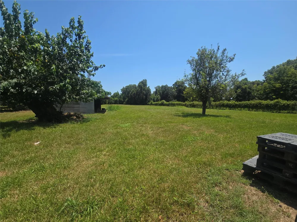 817 Masonic Oak Drive Brazoria, TX 77422