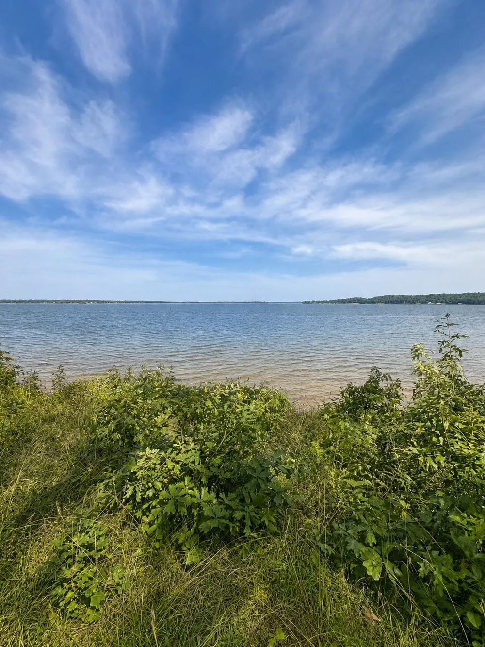 17964 Lookout Lake Circle Flint, TX 75762