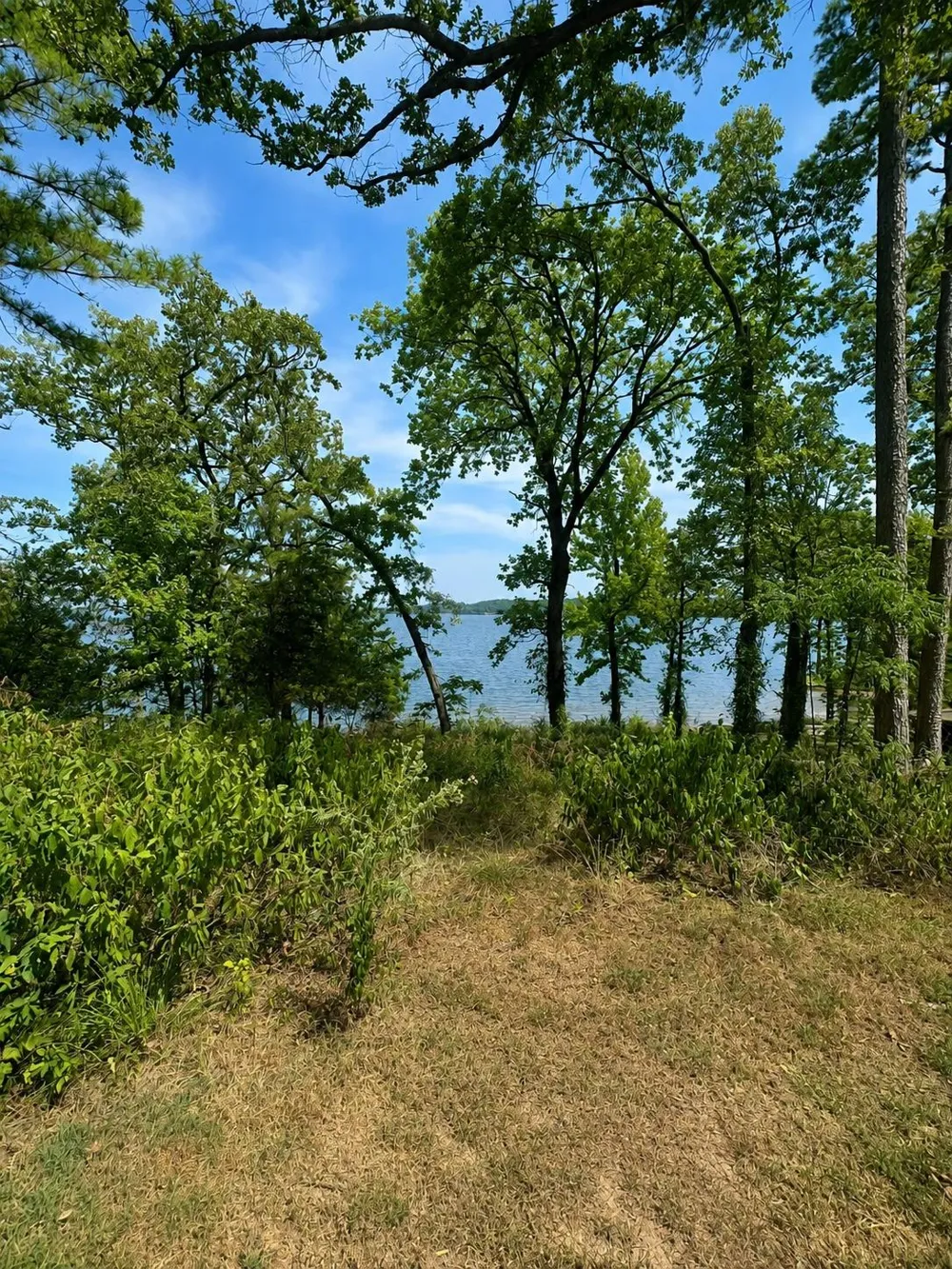 17964 Lookout Lake Circle Flint, TX 75762