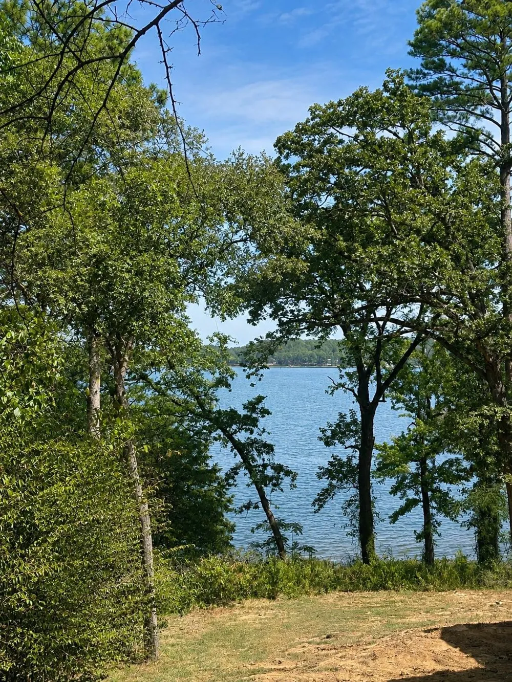 17964 Lookout Lake Circle Flint, TX 75762