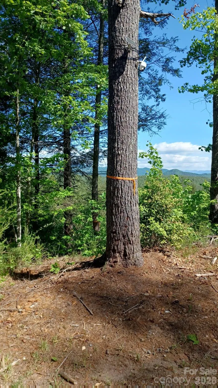 Lot 395 River Ridge Way Lenoir, NC 28645