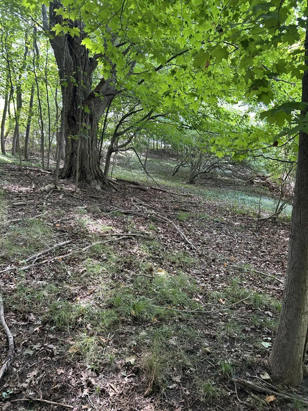Longbridge West lot 9 Pentwater, MI 49449
