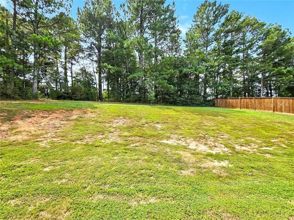 1154 Otis Drive Bethlehem, GA 30620