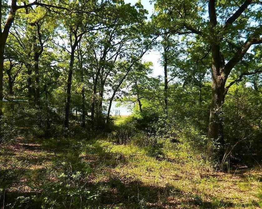 Country Road 371 Jewett, TX 75846