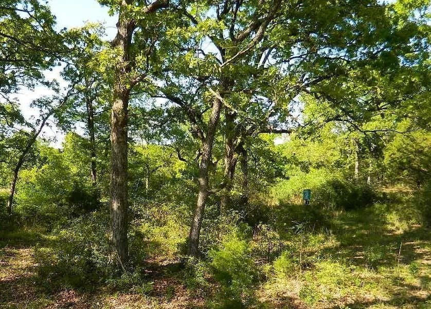 Country Road 371 Jewett, TX 75846