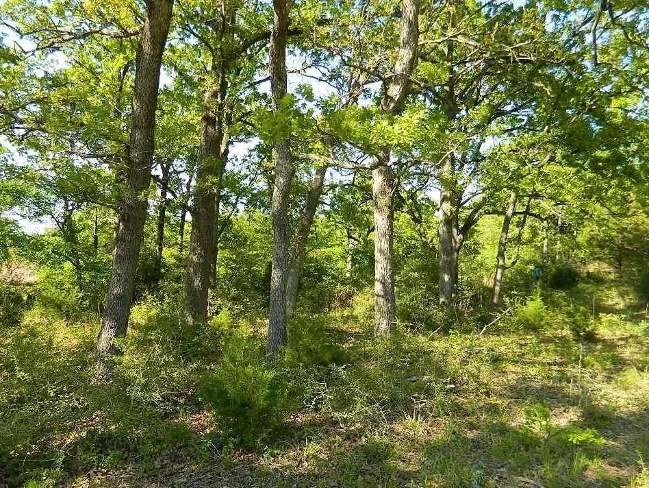 Country Road 371 Jewett, TX 75846