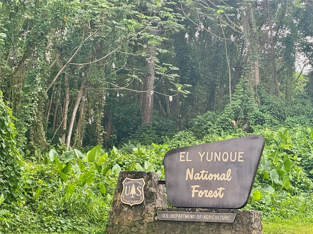 Carr 992 KM.HM 5 Luquillo, PR 00773