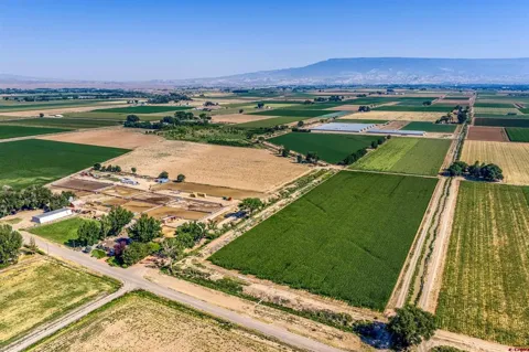 Carnation or 5400 Road