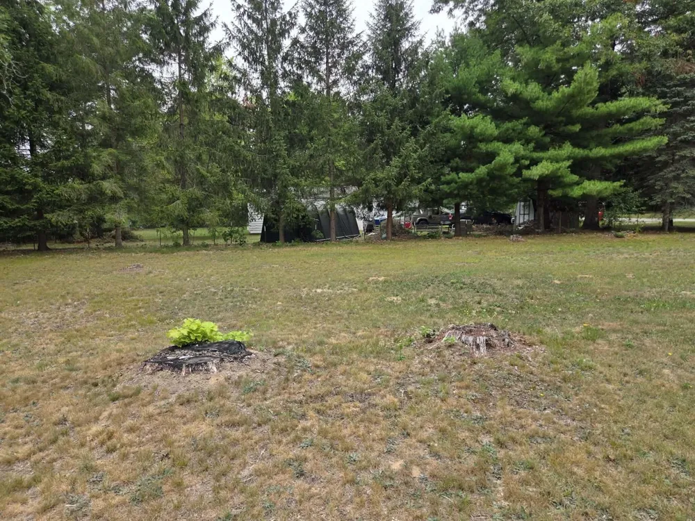 931 S Pierce Road White Cloud, MI 49349