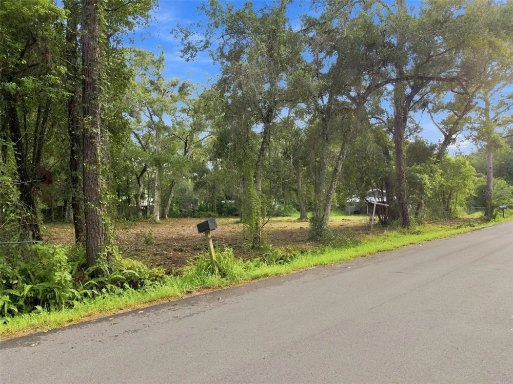 0 NICHOLAS AVENUE Brooksville, FL 34604