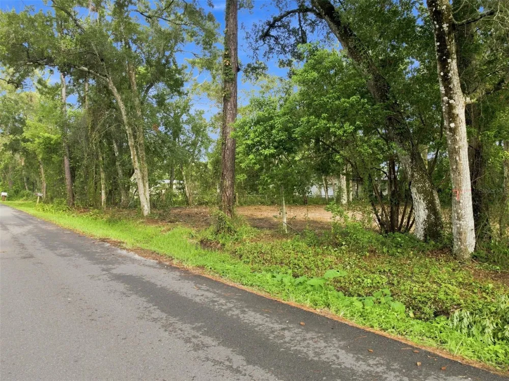 0 NICHOLAS AVENUE Brooksville, FL 34604