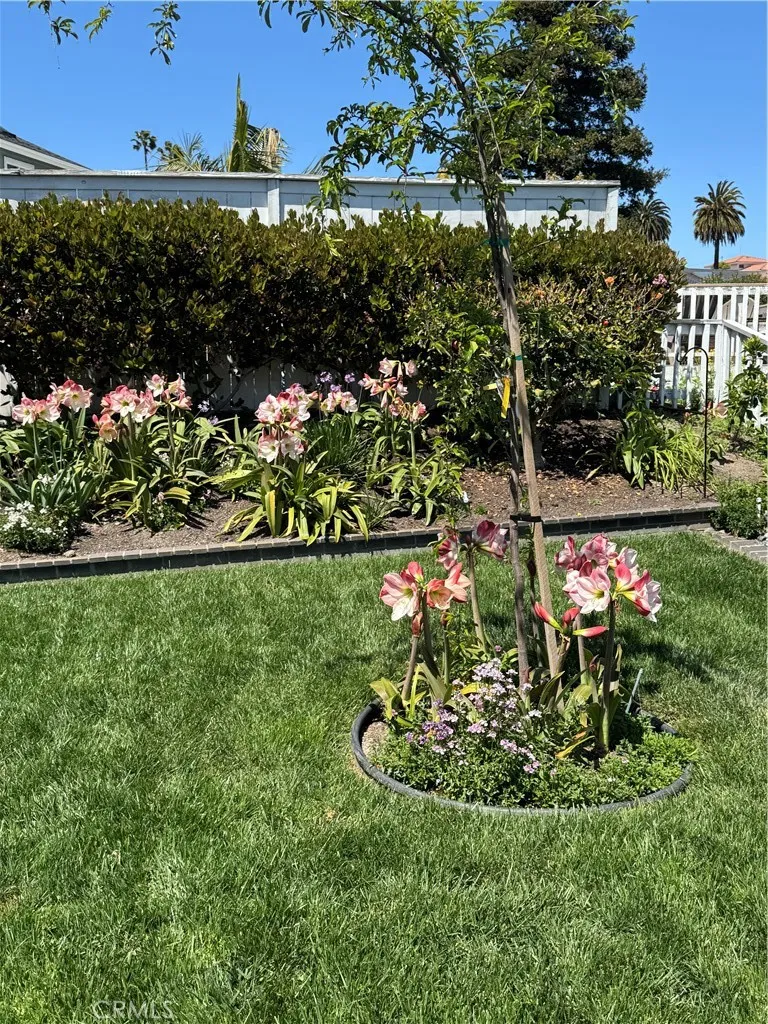 1816 E Pointe Carlsbad, CA 92008