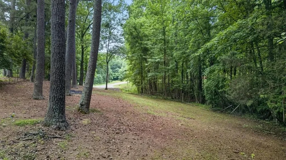 435 Sleepy Hollow Lane Cumming, GA 30028