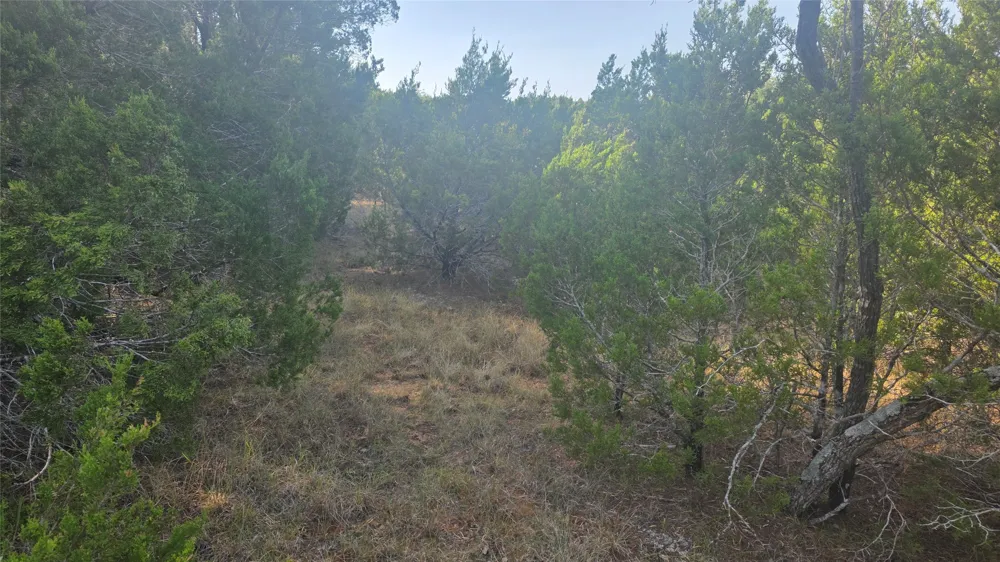 12119 Westmeadow Drive Whitney, TX 76692