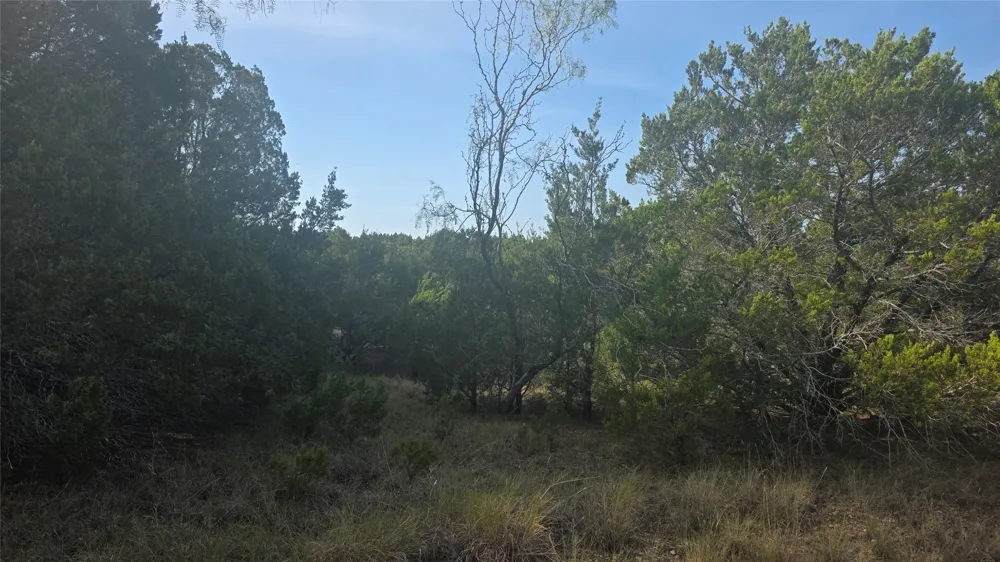 12119 Westmeadow Drive Whitney, TX 76692