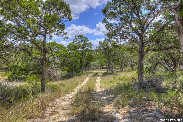 447 MADRONA DR New Braunfels, TX 78132