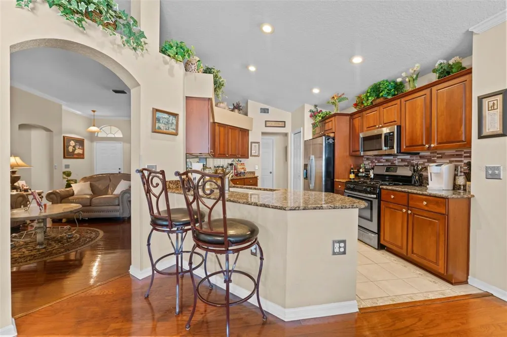 1803 CATTLEMAN DRIVE Brandon, FL 33511