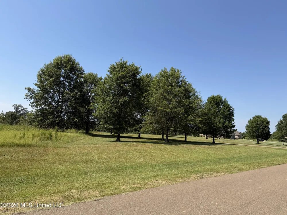 Windermere Boulevard Madison, MS 39110